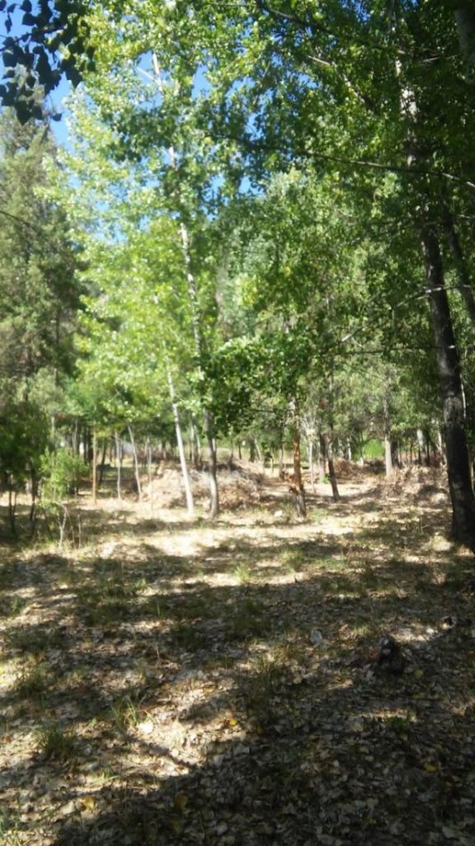 Importante Lote de Terreno en Lago Puelo - Chubut