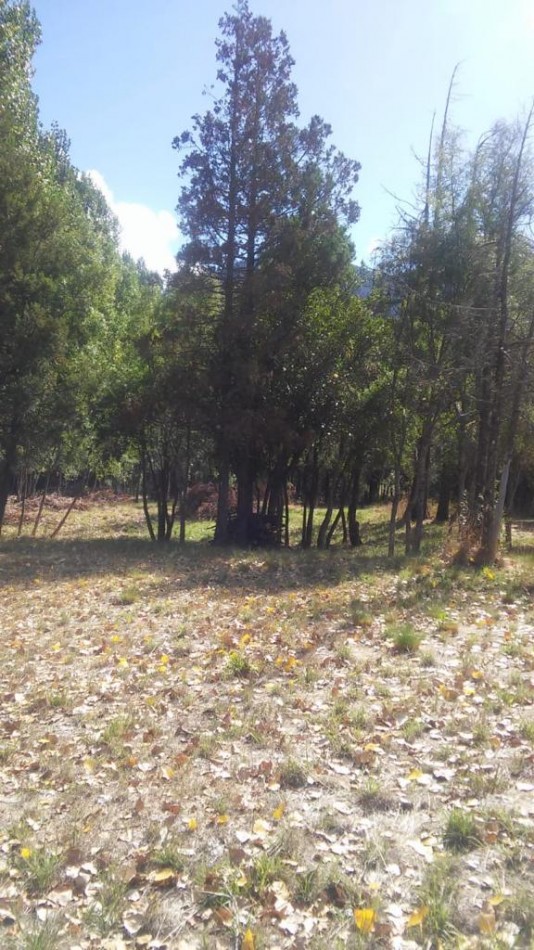 Importante Lote de Terreno en Lago Puelo - Chubut