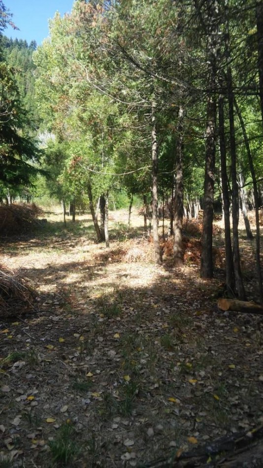Importante Lote de Terreno en Lago Puelo - Chubut
