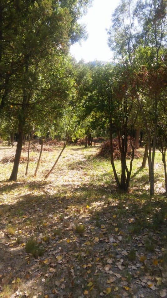 Importante Lote de Terreno en Lago Puelo - Chubut