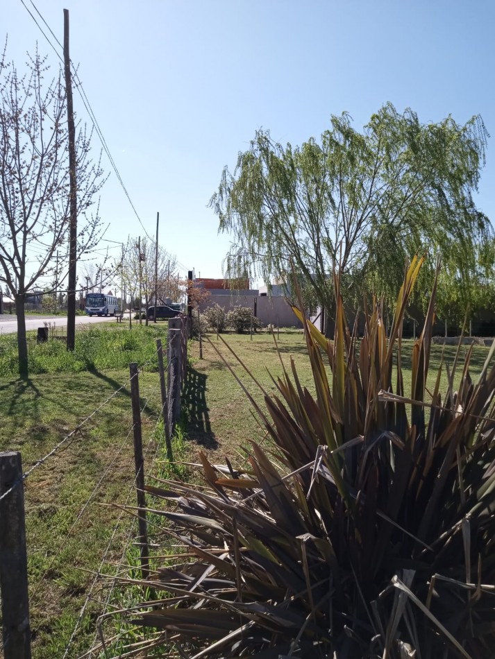 Lote de 8 x 30 mts