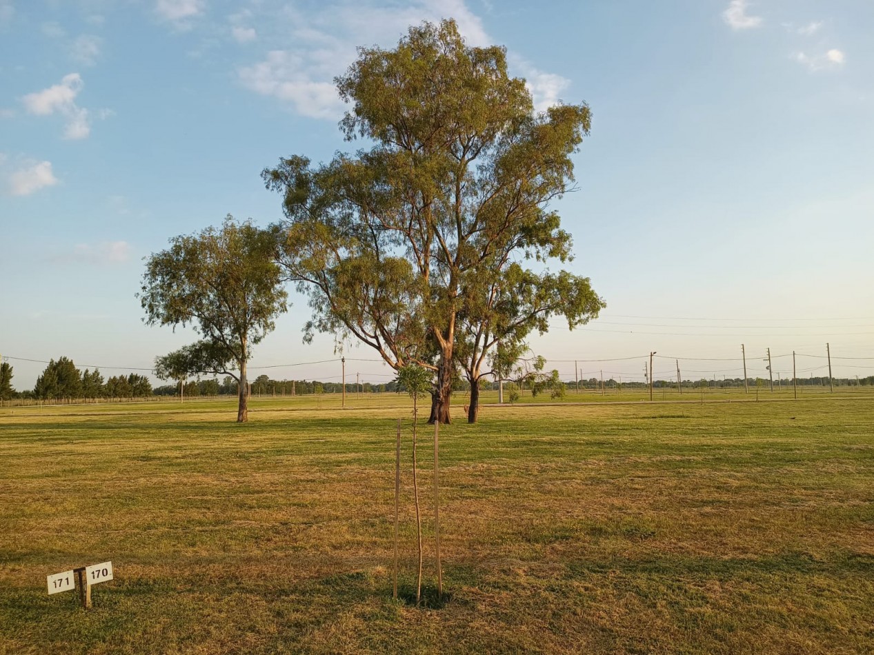 LOTE EN VENTA-  FINCA JOVEN- San Vicente
