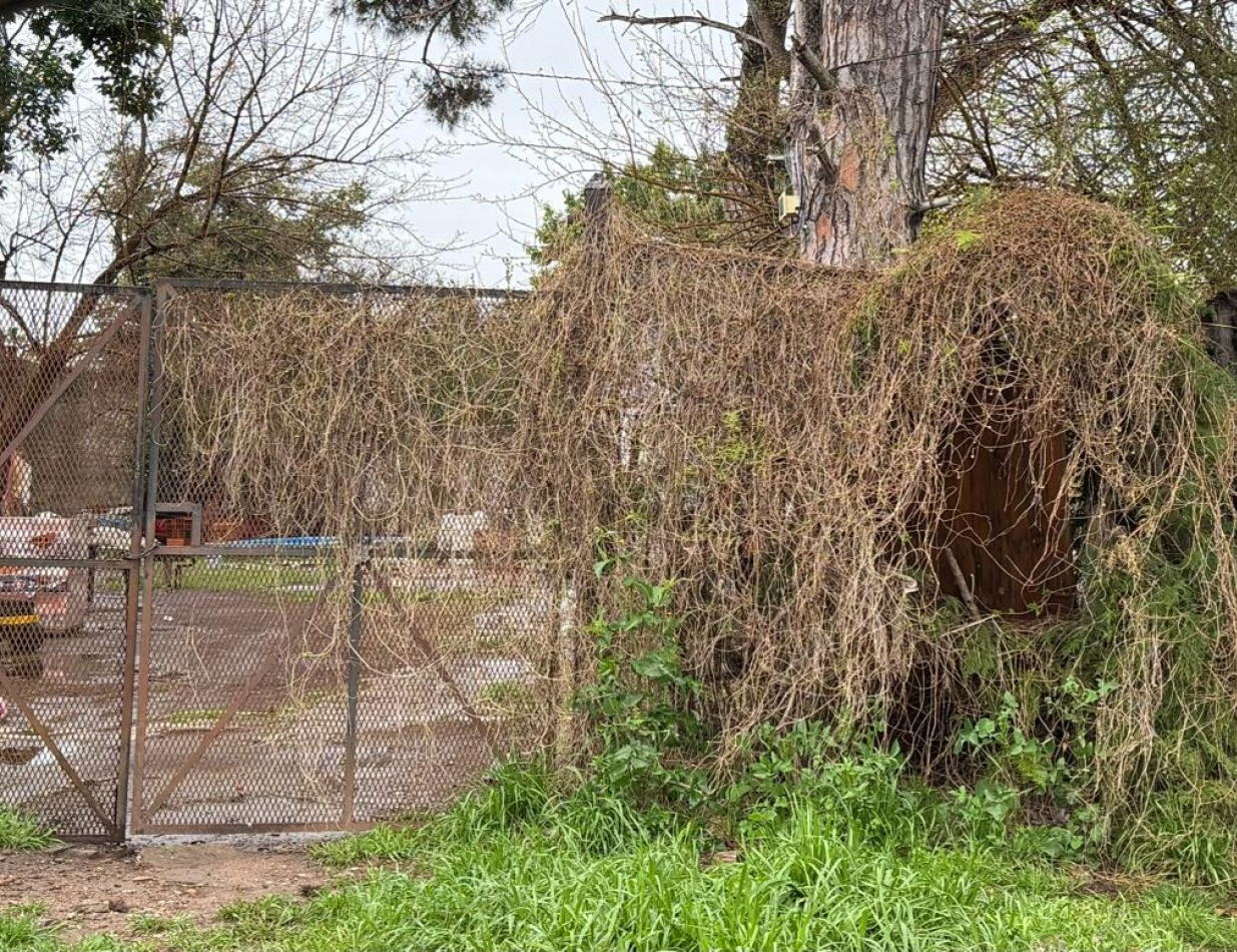 Lote en Jose Marmol- Buena Zona