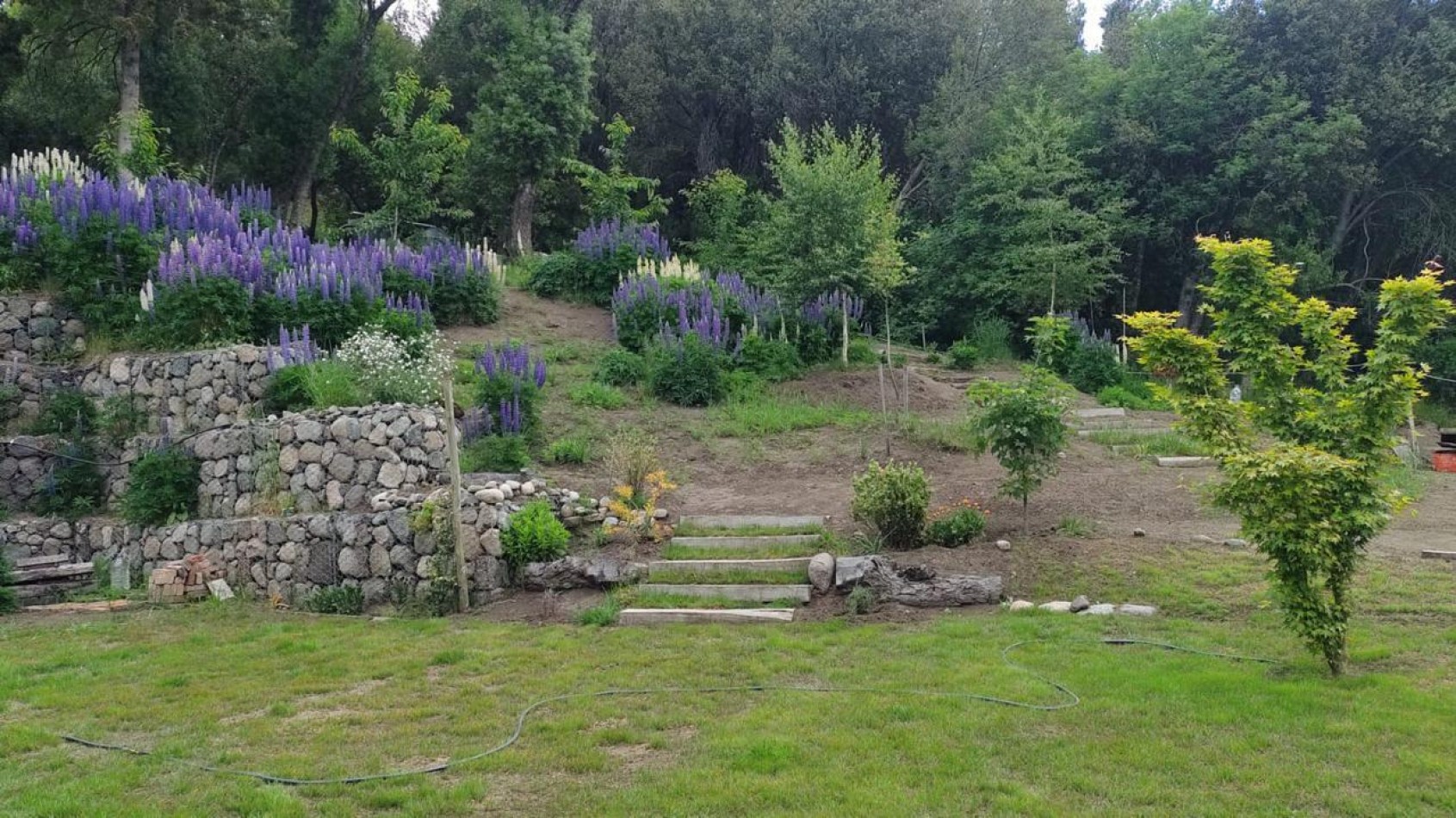 Casa 4 ambientes con terreno y hermosa vista, San Martin de los Andes