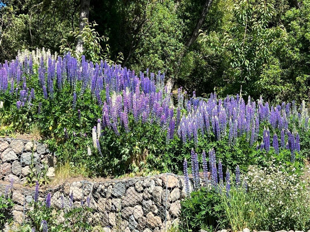 Casa 4 ambientes con terreno y hermosa vista, San Martin de los Andes