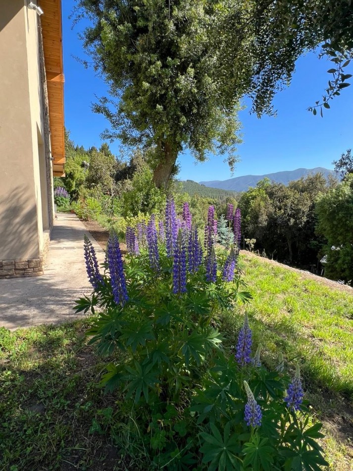 Casa 4 ambientes con terreno y hermosa vista, San Martin de los Andes