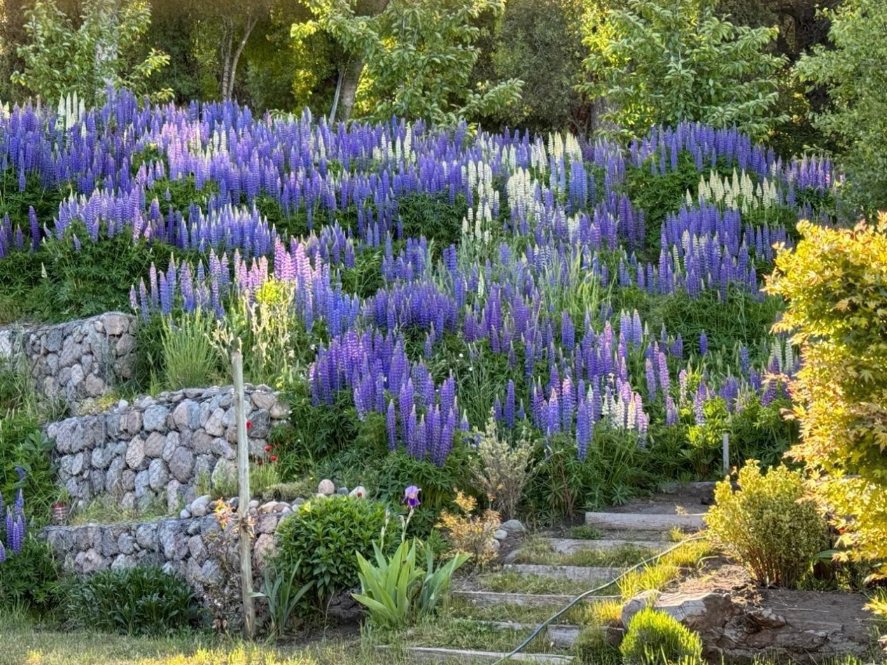 Casa 4 ambientes con terreno y hermosa vista, San Martin de los Andes