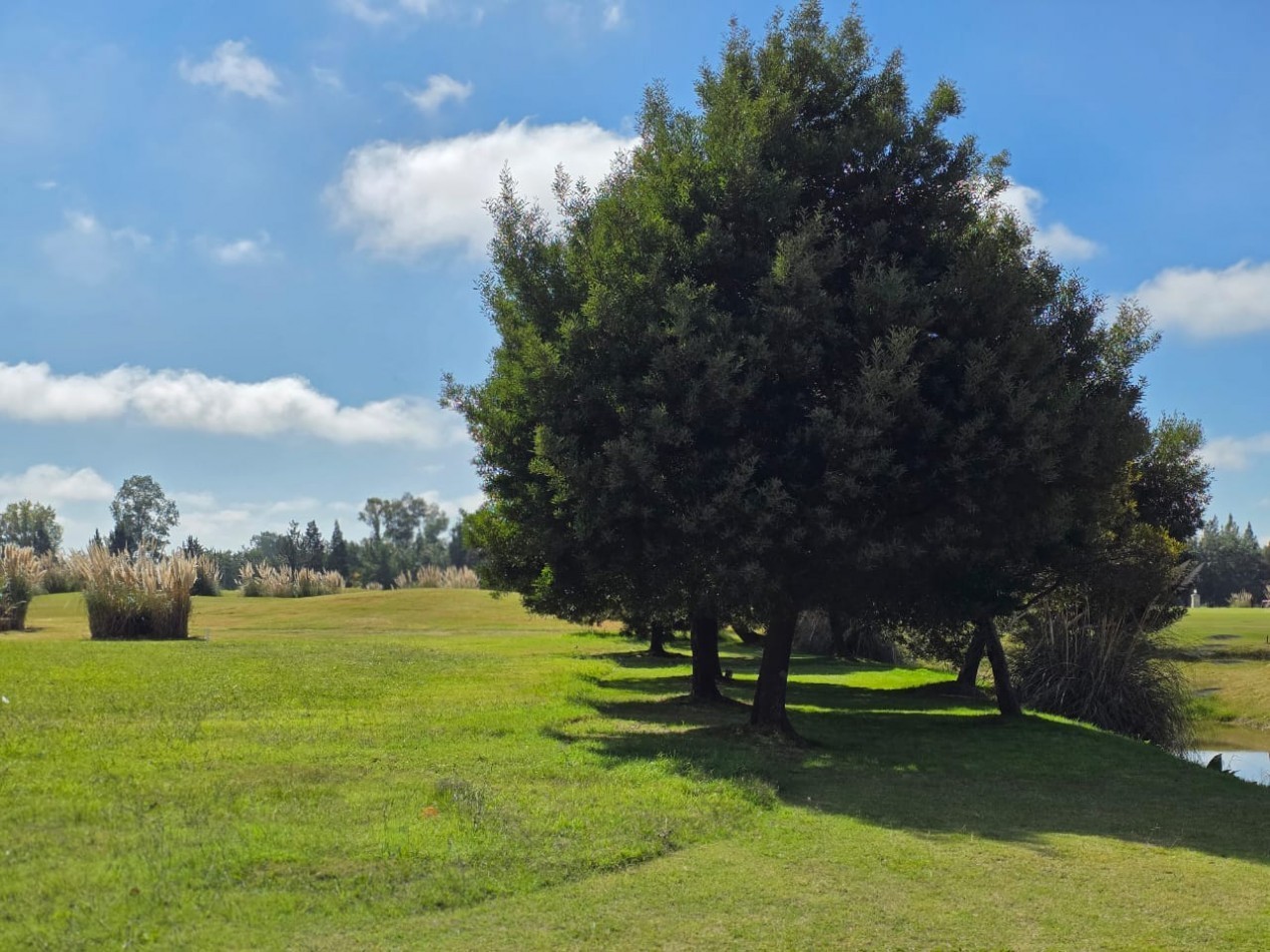 LOTE 1500M2 CON EXCELENTE ORIENTACION BARRIO SAN ELISEO