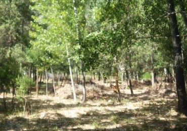 Importante Lote de Terreno en Lago Puelo - Chubut