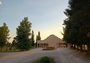 LOTE EN VENTA-  FINCA JOVEN- San Vicente
